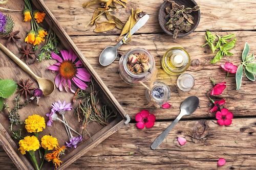 Understanding Naturopathic Medicine And How It Works | Naturopathic Dr
