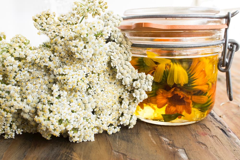 7 Flowers That Help With Cramps | Naturopathic Dr