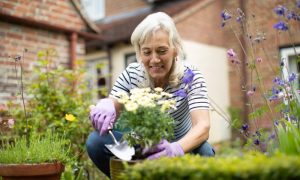 A senior woman plants flowers in a pot to enjoy the health benefits of gardening.